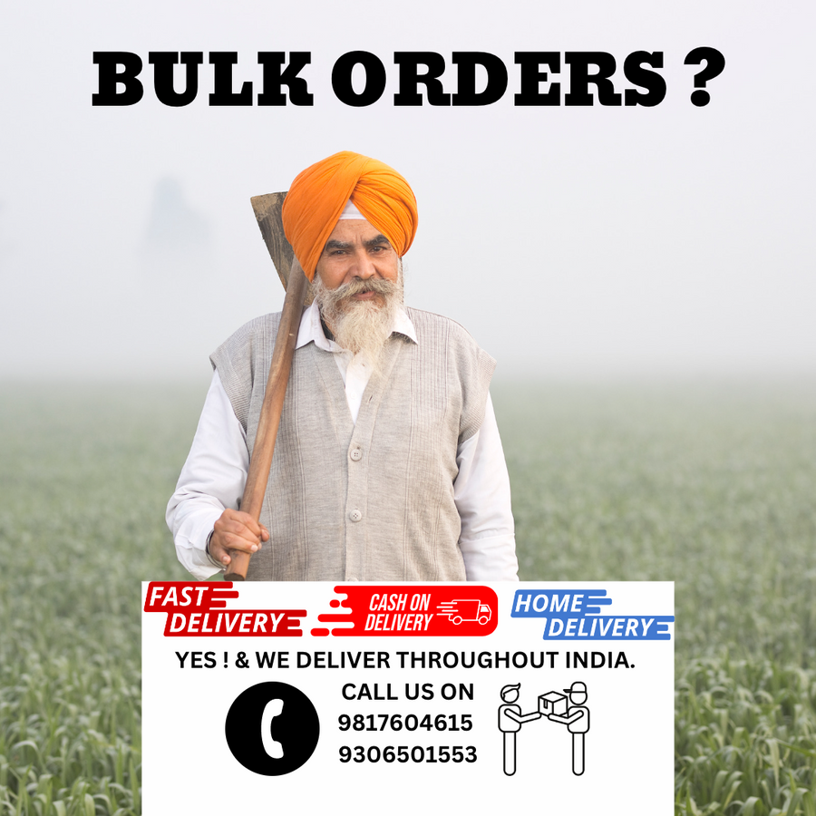 Vegetable to grow this June & July in India.