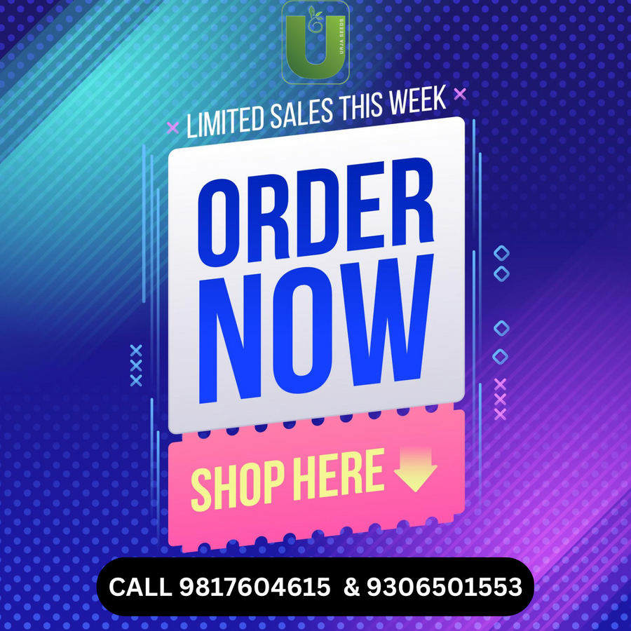 Best seeds to grow in October & November in India from Urja Seeds