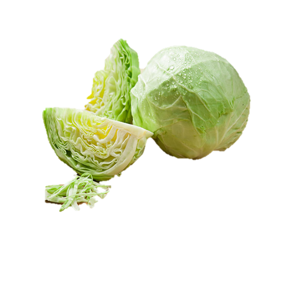 Cabbage Cultivation in North India