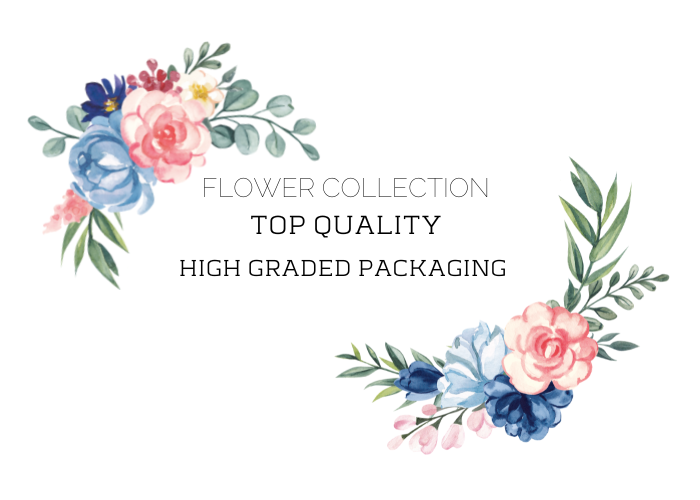 Flowers to grow in your kitchen garden.