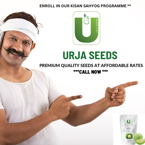 Why Choose URJA SEEDS ?