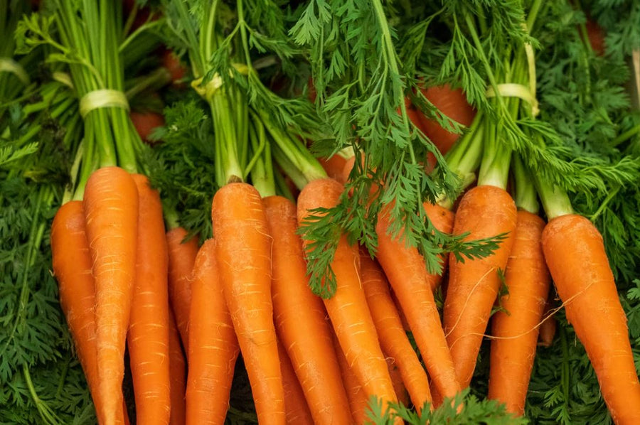 Growing healthy carrots in your kitchen garden is easy. Know-How?