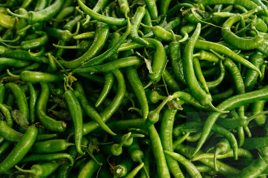 Have beautiful chilies in your home garden easily now. Know how!