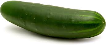 Everything you need to know about Cucumber Farming in India