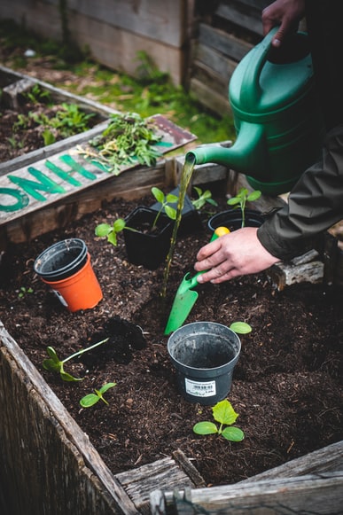 Basic Tools Indoor Gardeners Must Have