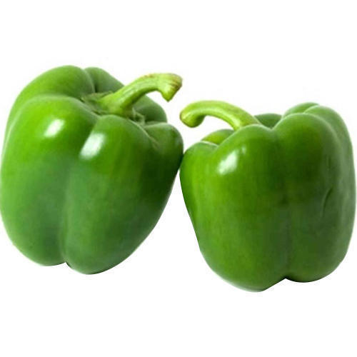 Growing Capsicum in Telangana: A Guide by Urja Seeds