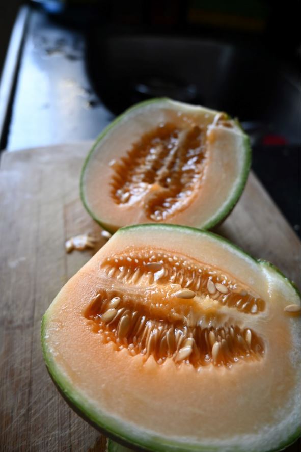 Guide to grow Muskmelon Benefits & Nutritional Facts Urja Seeds