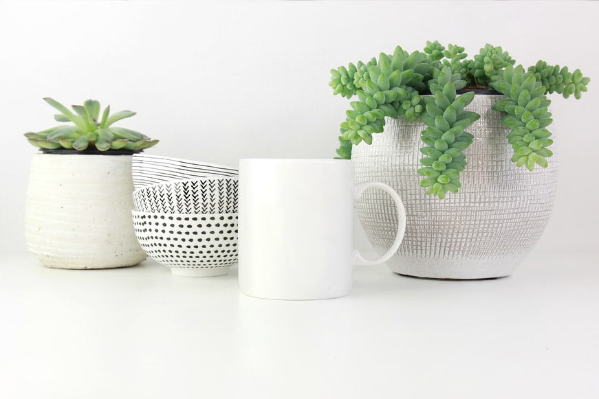 10 Best Gift Ideas for Plant Lovers