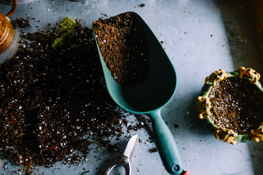 How to make the best soil mix for starting seeds?