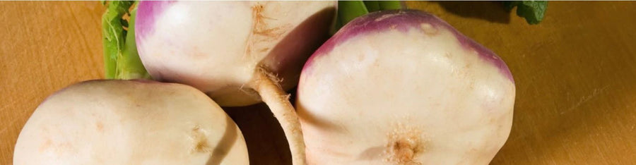 Turnips are very healthy for you. Grow them now