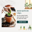 Load image into Gallery viewer, Vegetable Seed Kit MAX