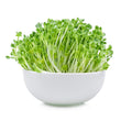 Load image into Gallery viewer, Arugula - Micro green Seeds