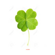 Load image into Gallery viewer, Clover Seeds Kitchen Garden Packaging