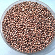 Load image into Gallery viewer, Coriander Seeds Whole