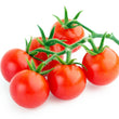 Load image into Gallery viewer, Gardener's Choice Professional-3