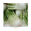 Load image into Gallery viewer, Fennel White -Kitchen Garden Packing