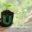 Load image into Gallery viewer, Grow Bag Mini - (4"X4") Set of 2