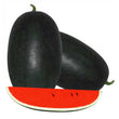 Load image into Gallery viewer, Watermelon Seeds F-1 Hybrid US-20011 Icebox