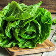 Load image into Gallery viewer, Lettuce Seeds Romaine