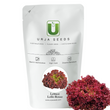 Load image into Gallery viewer, Lettuce Lolla Rossa - Vegetable Seeds