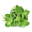 Load image into Gallery viewer, Oregano Seeds Kitchen Garden Packaging
