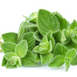 Load image into Gallery viewer, Oregano Seeds Kitchen Garden Packaging