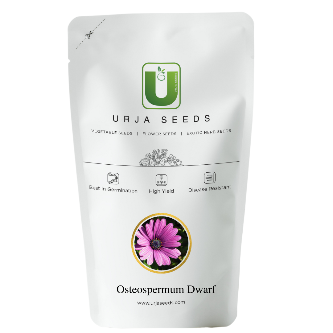 osteospermum flower seeds Osteospermum Mixed- Flower Seeds – Urja Seeds