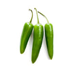 Load image into Gallery viewer, Chilli Seeds F-1 Hybrid US-8283 (Achari)