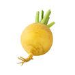 Load image into Gallery viewer, Turnip Seeds Golden Ball