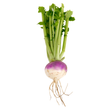 Load image into Gallery viewer, Turnip Seeds Purple Top White