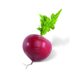 Load image into Gallery viewer, Turnip Seeds Red Ball