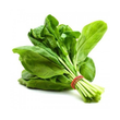 Load image into Gallery viewer, Palak Seeds Urja Green (Spinach)