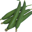Load image into Gallery viewer, Sponge Gourd Seeds Dark Green