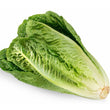 Load image into Gallery viewer, Lettuce Seeds Romaine