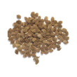 Load image into Gallery viewer, Bitter Gourd Seeds F-1 Hybrid US 5553