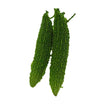Load image into Gallery viewer, Bitter Gourd Seeds F-1 Hybrid US 555