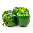 Load image into Gallery viewer, Capsicum Seeds F-1 Hybrid Indrani