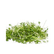 Load image into Gallery viewer, Cress-Micro Green Seeds