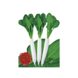 Load image into Gallery viewer, Radish Seeds Palak Patta