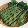 Load image into Gallery viewer, Ridge Gourd Seeds F-1 Hybrid US-372 (Dark Green)