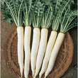 Load image into Gallery viewer, Radish Seeds All Season