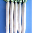 Load image into Gallery viewer, Radish Seeds F-1 Hybrid US-102 (Imp)