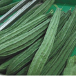 Load image into Gallery viewer, Ridge Gourd Seeds F-1 Hybrid US-595 (Green)