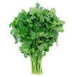 Load image into Gallery viewer, Coriander Seeds Whole