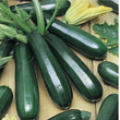 Load image into Gallery viewer, Zucchini Seeds F-1 Hybrid - Black Beauty