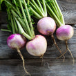 Load image into Gallery viewer, Turnip Seeds Purple Top White