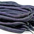 Load image into Gallery viewer, Beans Purple Seeds Kitchen Garden Packaging