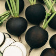 Load image into Gallery viewer, Radish Seeds Black Round-Kitchen Garden Packing