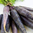 Load image into Gallery viewer, Black Carrot Seeds (Kaali Gajar)