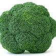 Load image into Gallery viewer, Gardener's Choice Professional -1